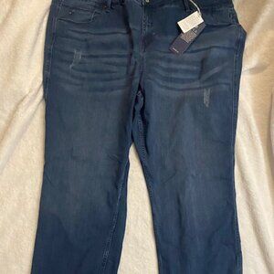 Laurie Felt Women's 3X Silky Denim Easy Skinny Blue Jeans
